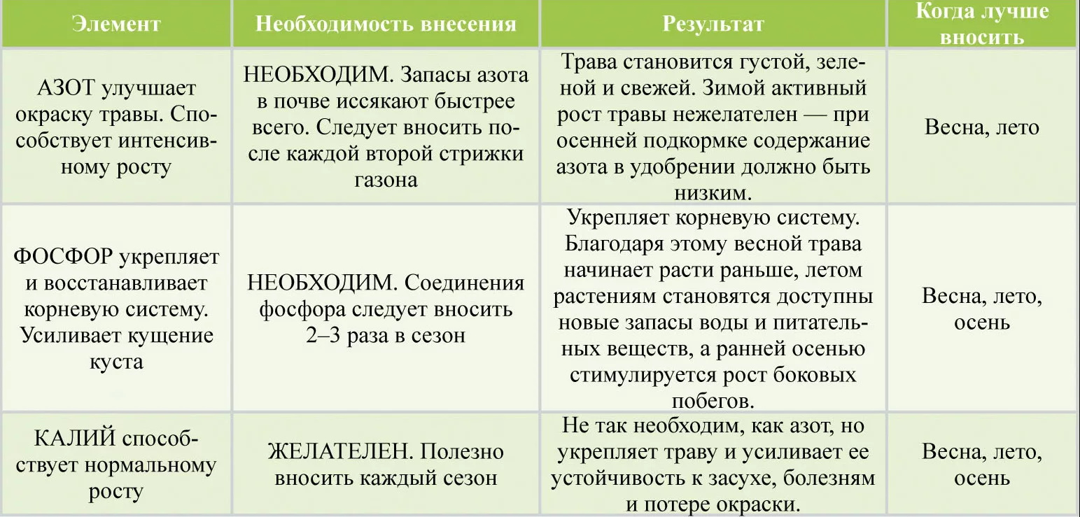 54952_04.jpg